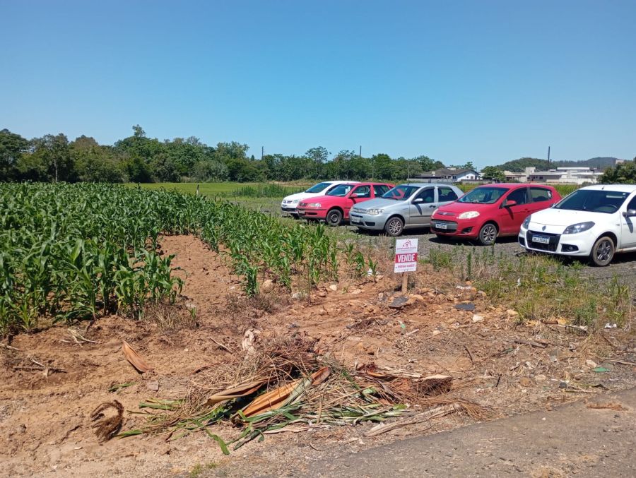 Terreno - Venda - Centro - Meleiro - SC